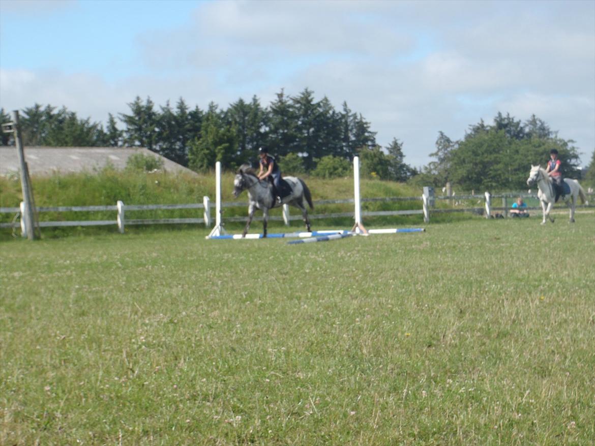 SKRK. Hyggelige tider med Skive Rideklub.  - Rytterlejr 2011 SKRK
Spring hold for nybegyndere :) billede 57