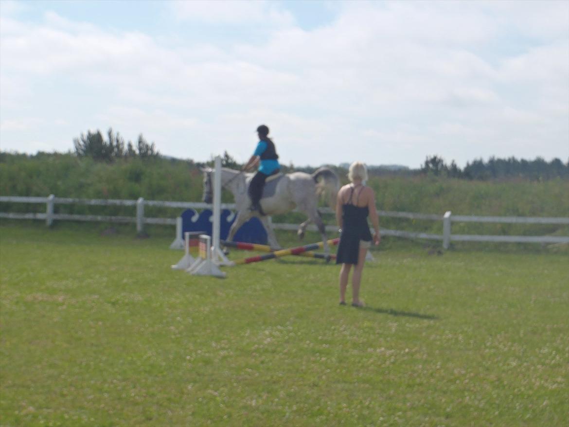 SKRK. Hyggelige tider med Skive Rideklub.  - Rytterlejr 2011 SKRK
Spring hold for nybegyndere :) billede 59