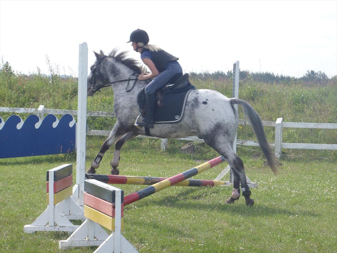 SKRK. Hyggelige tider med Skive Rideklub.  - Rytterlejr 2011 SKRK
Spring hold for nybegyndere :) billede 60