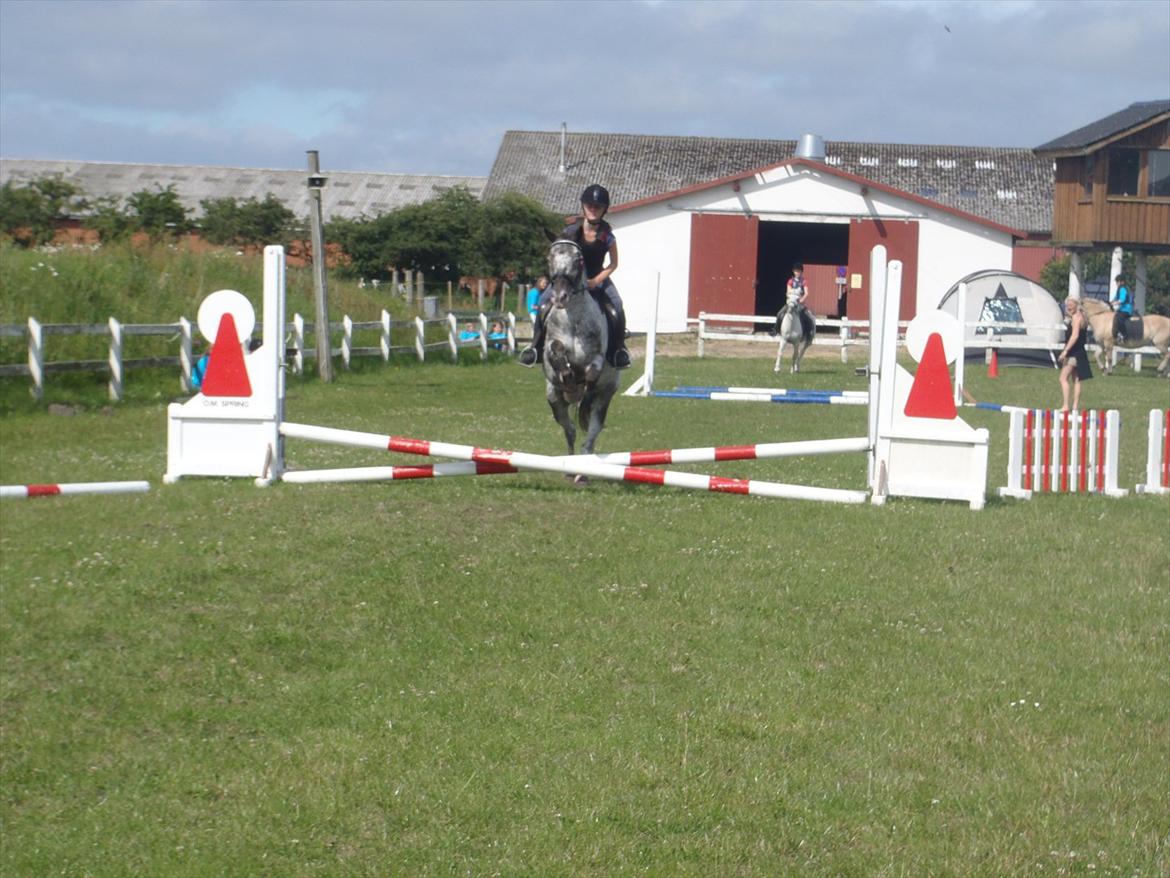 SKRK. Hyggelige tider med Skive Rideklub.  - Rytterlejr 2011 SKRK
Spring hold for nybegyndere :) billede 62