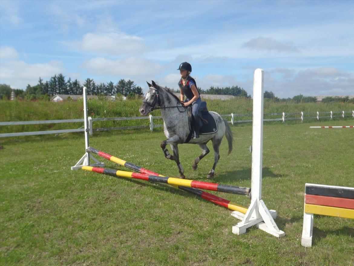 SKRK. Hyggelige tider med Skive Rideklub.  - Rytterlejr 2011 SKRK
Spring hold for nybegyndere :) billede 63