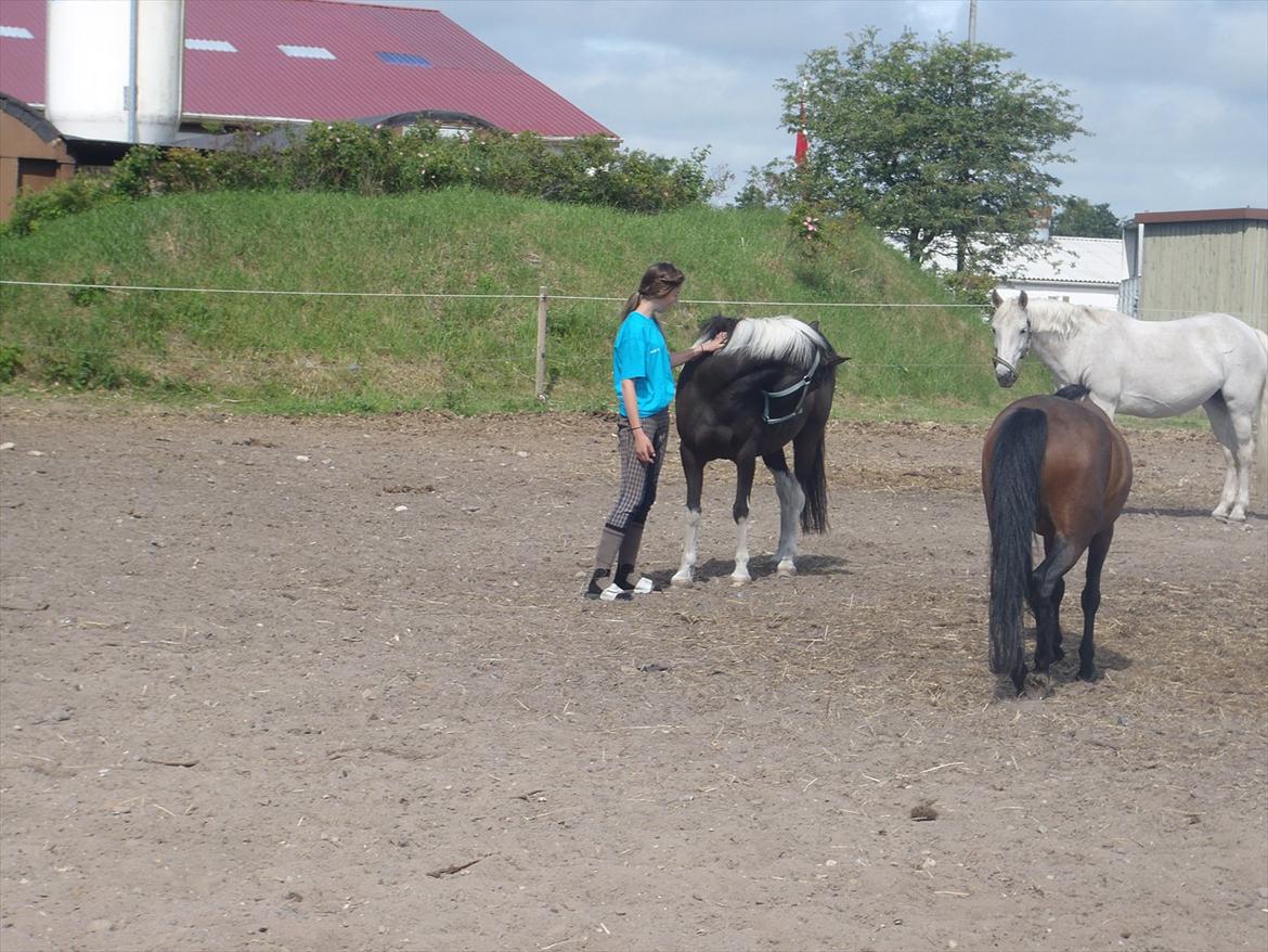 SKRK. Hyggelige tider med Skive Rideklub.  - Rytterlejr 2011 SKRK
 billede 64