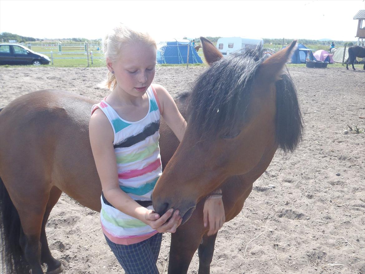 SKRK. Hyggelige tider med Skive Rideklub.  billede 66