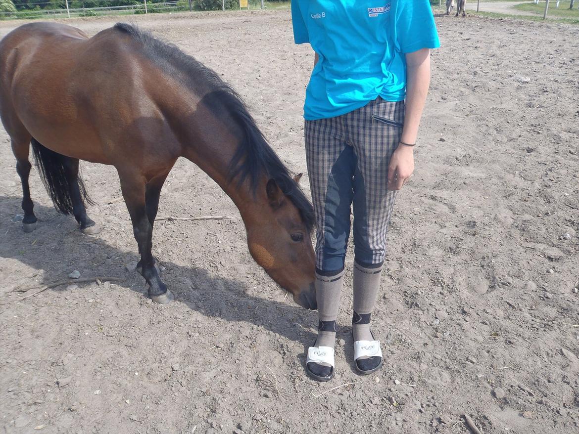 SKRK. Hyggelige tider med Skive Rideklub.  - Rytterlejr 2011 SKRK
 billede 68