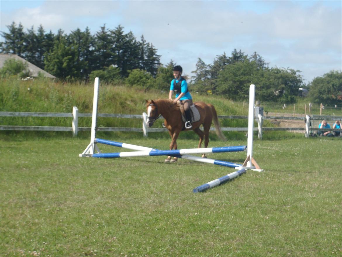 SKRK. Hyggelige tider med Skive Rideklub.  - Rytterlejr 2011 SKRK
Nybegynder holder :)) billede 72