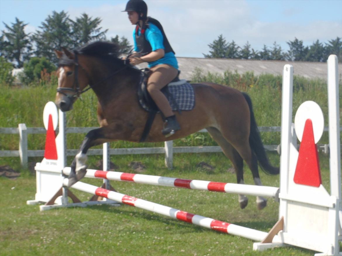 SKRK. Hyggelige tider med Skive Rideklub.  - Rytterlejr 2011 SKRK
Nybegynder holder :)) billede 73