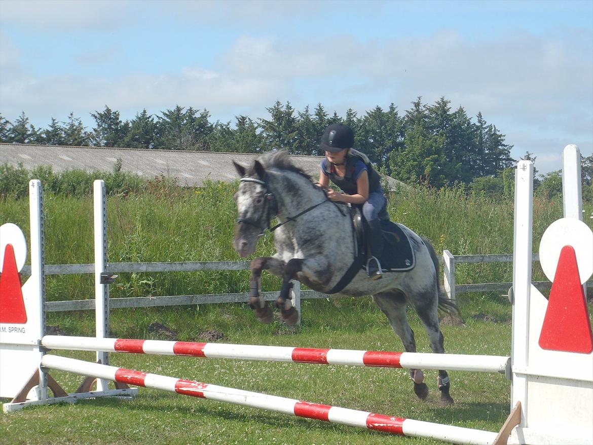 SKRK. Hyggelige tider med Skive Rideklub.  - Rytterlejr 2011 SKRK
Nybegynder holder :)) billede 74