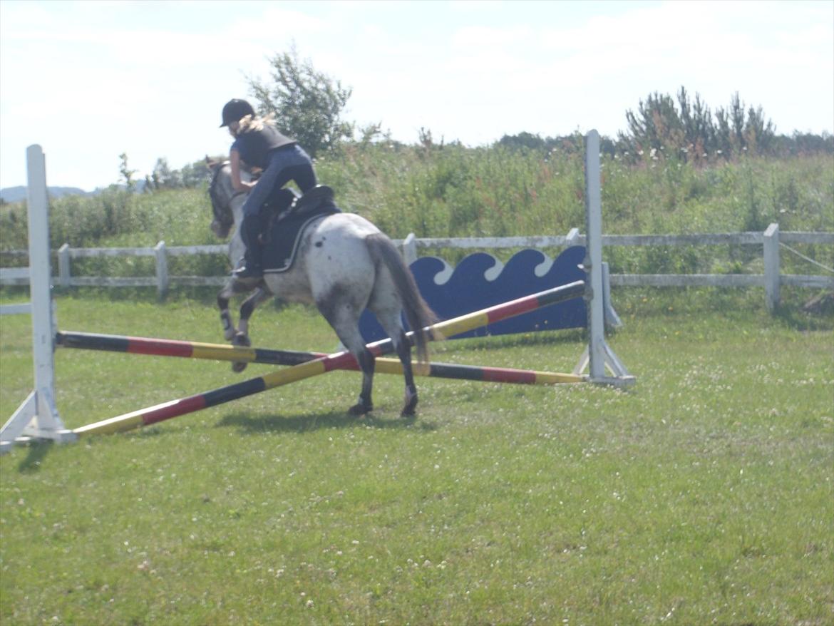 SKRK. Hyggelige tider med Skive Rideklub.  - Rytterlejr 2011 SKRK
Nybegynder holder :)) billede 75