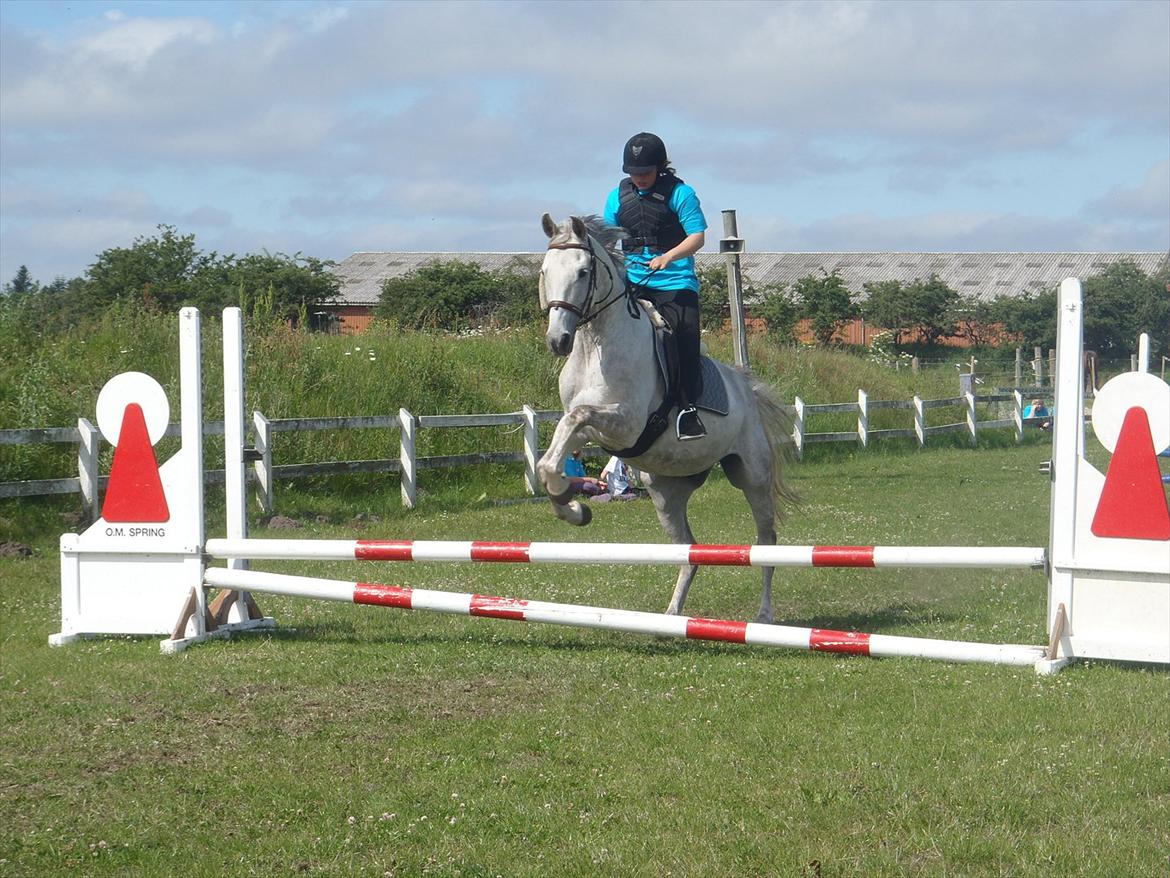 SKRK. Hyggelige tider med Skive Rideklub.  - Rytterlejr 2011 SKRK
Nybegynder holder :)) billede 76