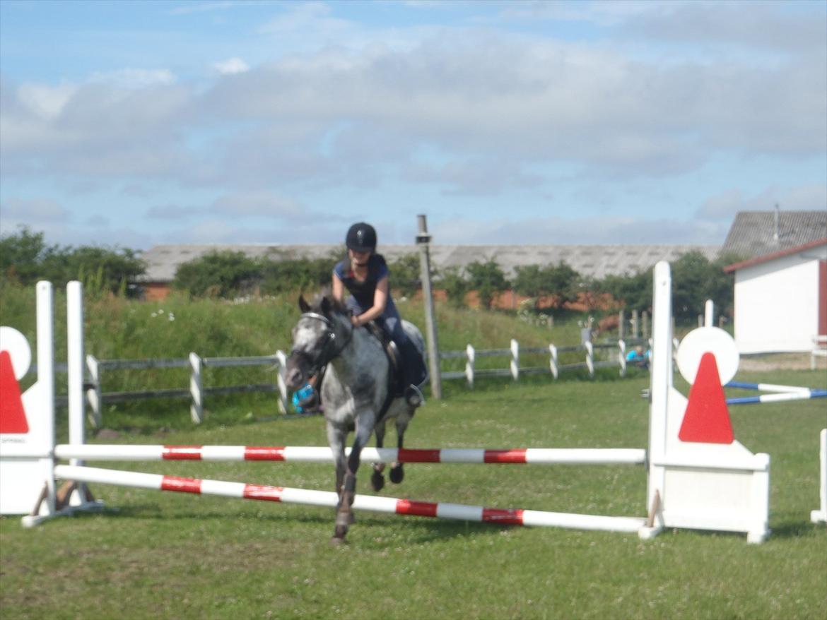 SKRK. Hyggelige tider med Skive Rideklub.  - Rytterlejr 2011 SKRK
Nybegynder holder :)) billede 77