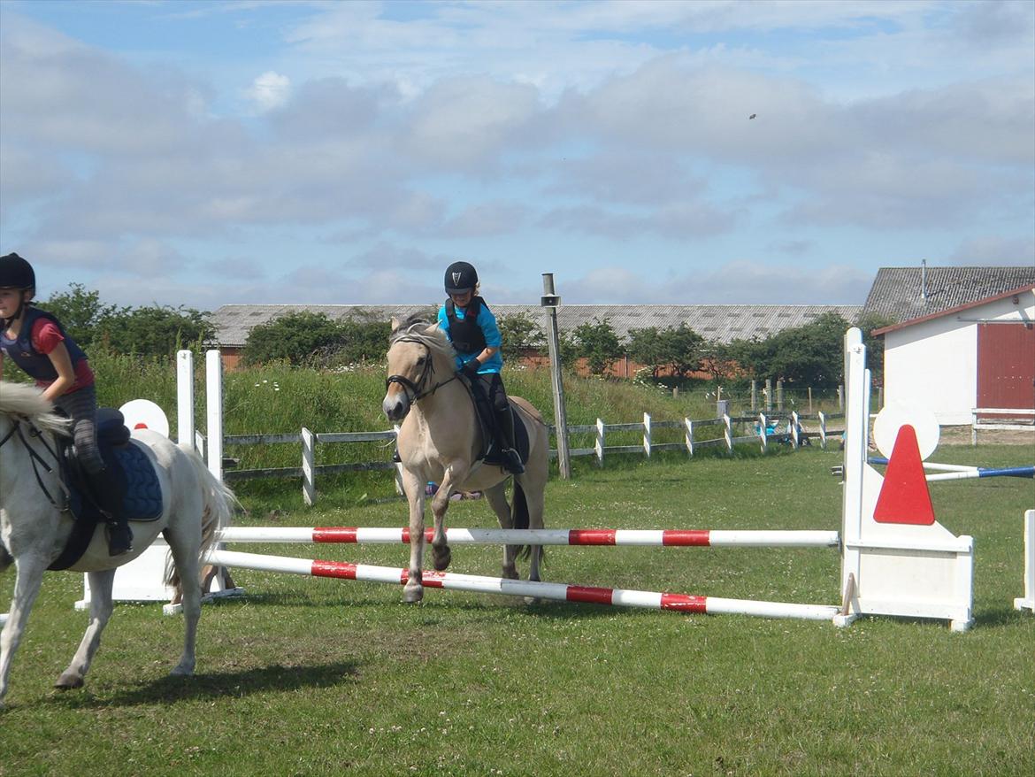 SKRK. Hyggelige tider med Skive Rideklub.  - Rytterlejr 2011 SKRK
Nybegynder holder :)) billede 78