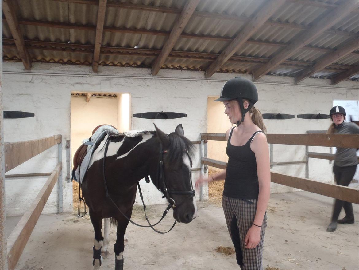 SKRK. Hyggelige tider med Skive Rideklub.  - Rytterlejr 2011 SKRK
Vi skulle ud og ride monté :D billede 80