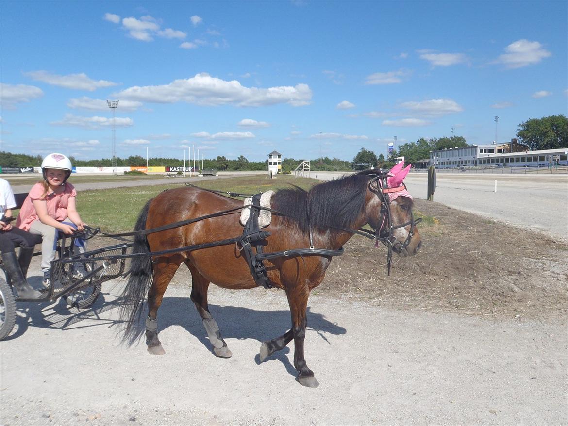 SKRK. Hyggelige tider med Skive Rideklub.  - Rytterlejr 2011 SKRK
Trav banen :P billede 82