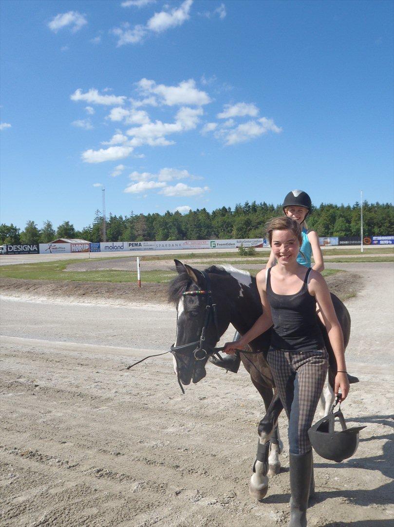 SKRK. Hyggelige tider med Skive Rideklub.  billede 83