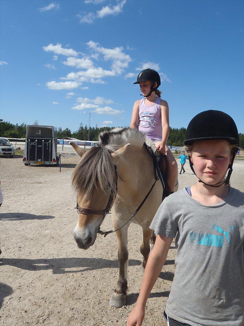 SKRK. Hyggelige tider med Skive Rideklub.  billede 84