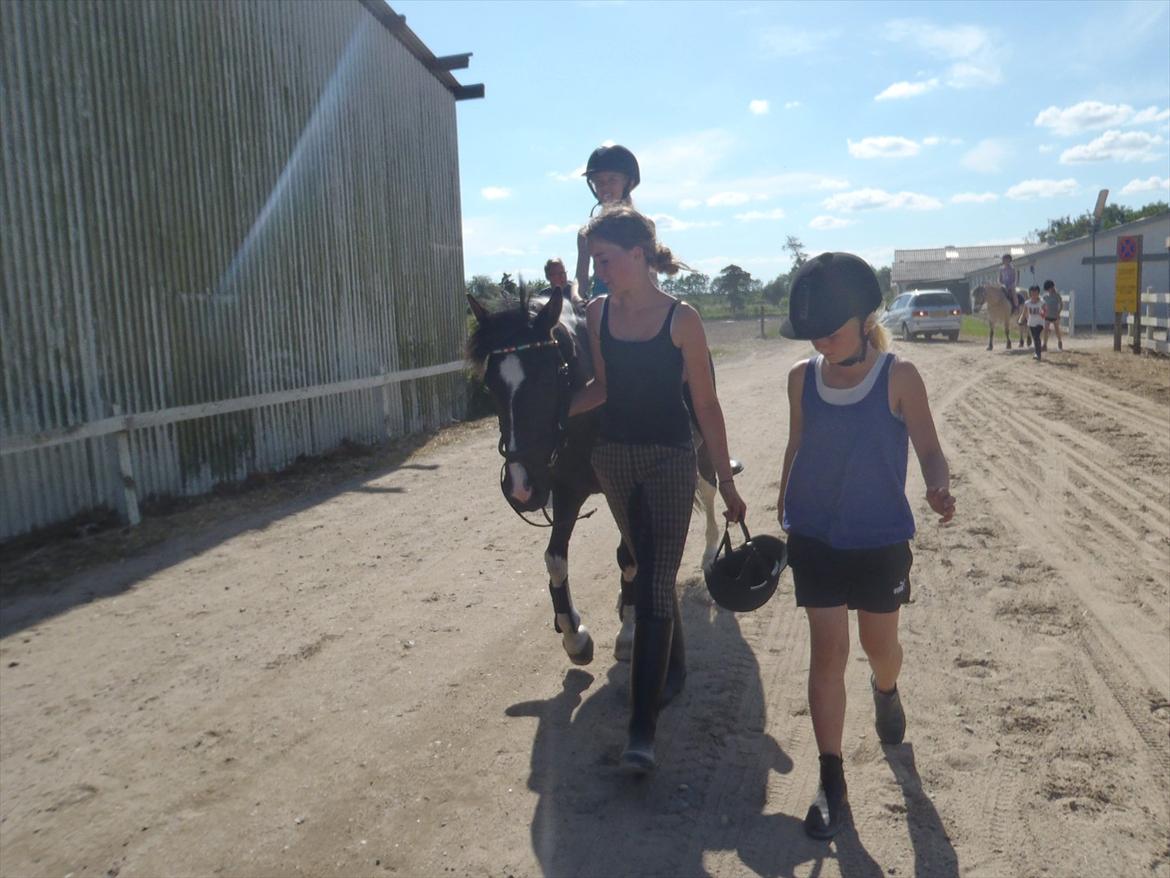 SKRK. Hyggelige tider med Skive Rideklub.  billede 85