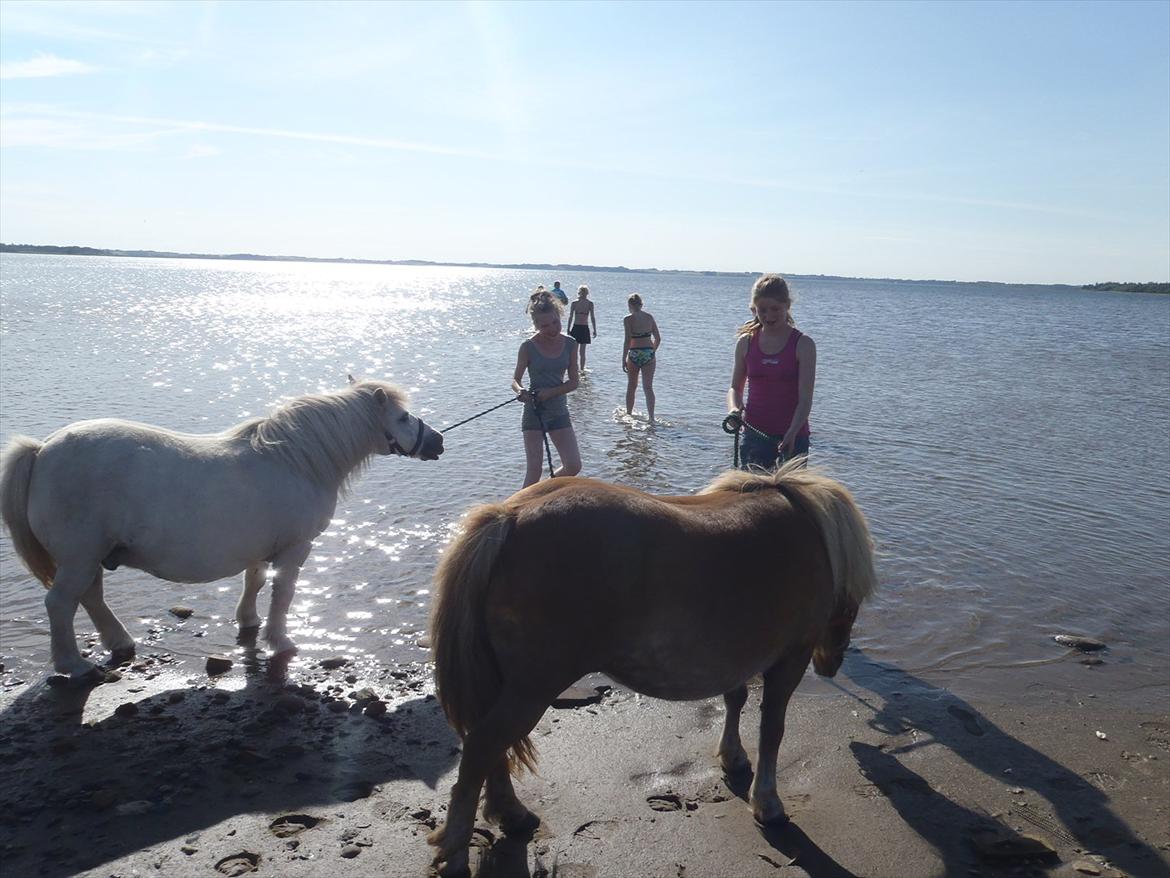 SKRK. Hyggelige tider med Skive Rideklub.  - Rytterlejr 2011 SKRK
 billede 89