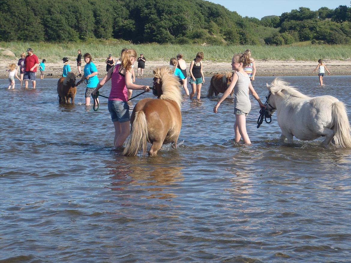 SKRK. Hyggelige tider med Skive Rideklub.  billede 94