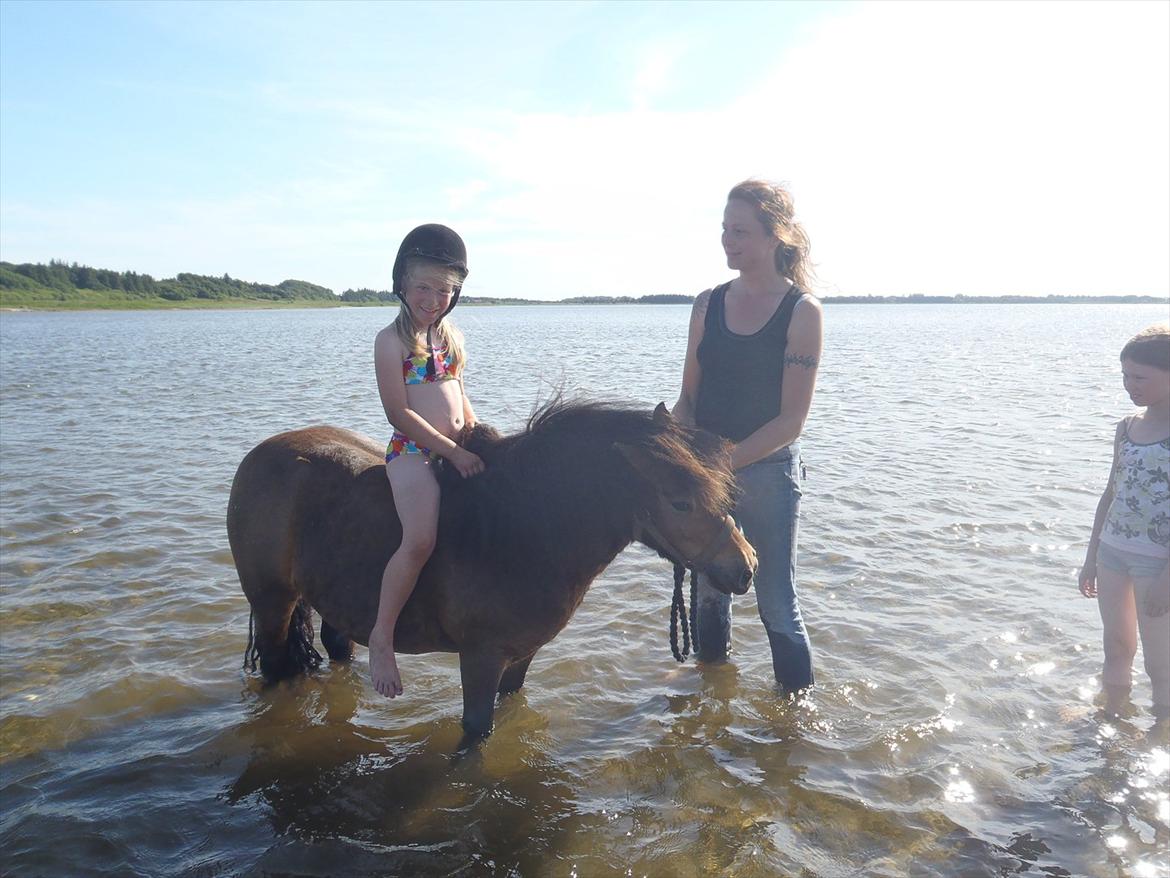 SKRK. Hyggelige tider med Skive Rideklub.  billede 95