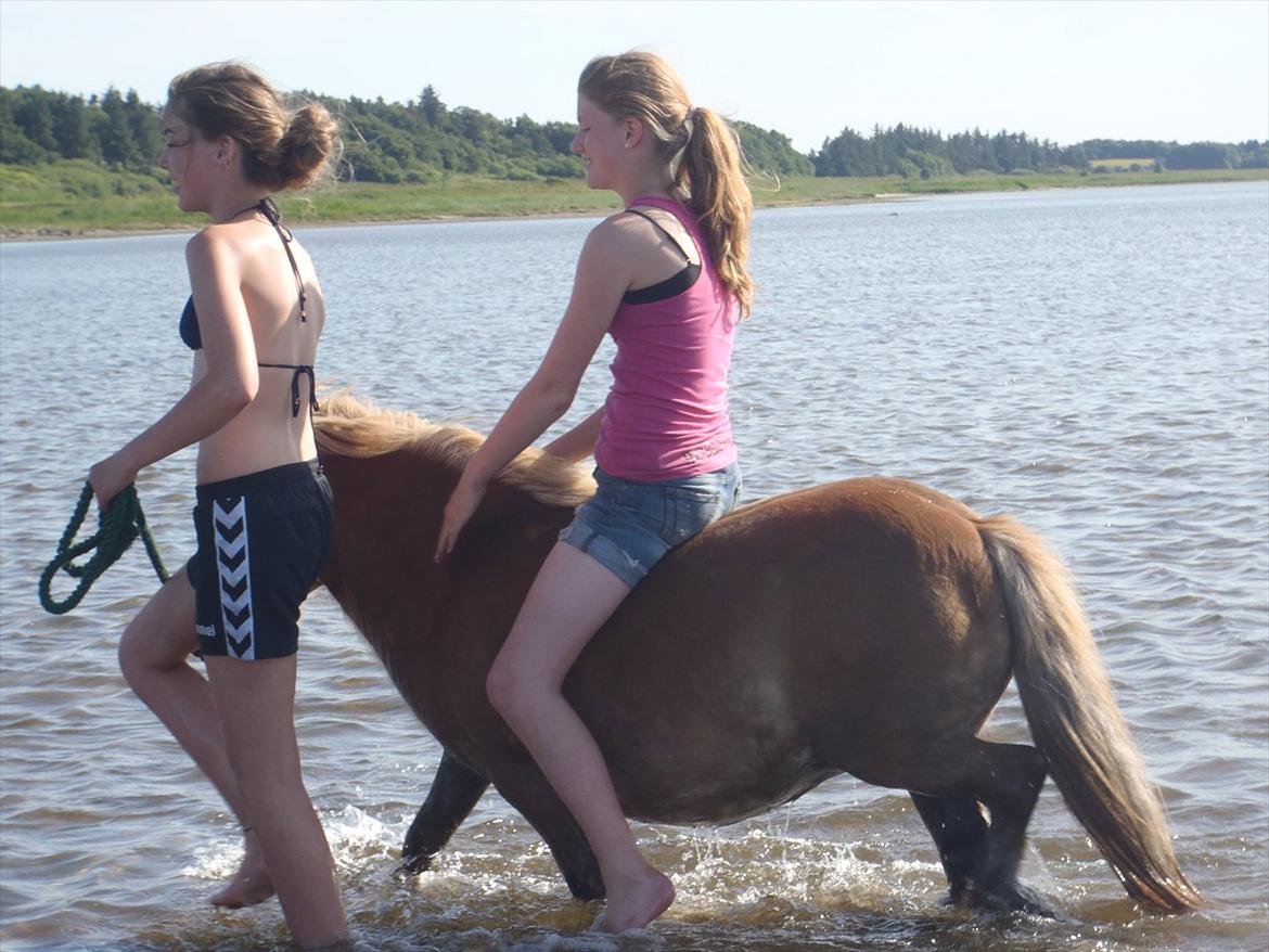 SKRK. Hyggelige tider med Skive Rideklub.  - Rytterlejr 2011 SKRK
 billede 97