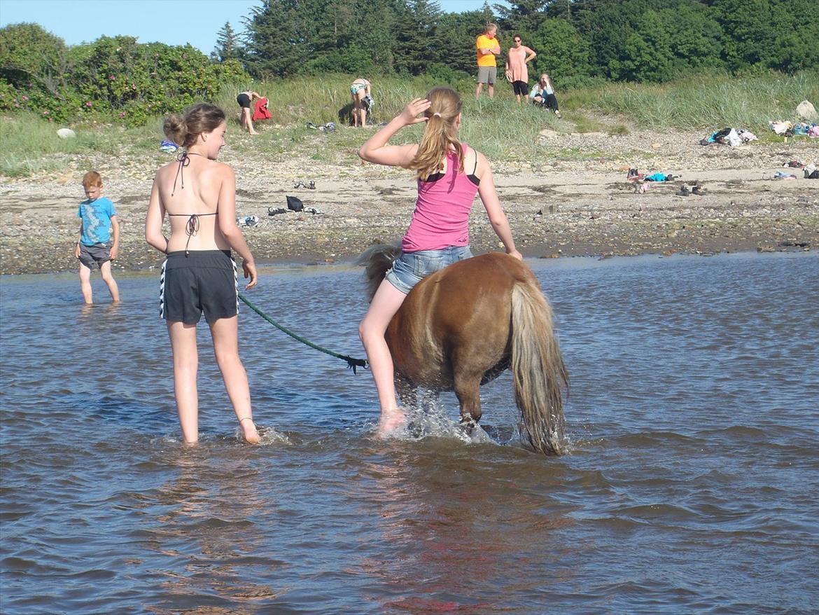 SKRK. Hyggelige tider med Skive Rideklub.  billede 98