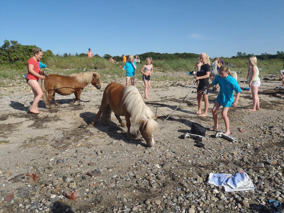 SKRK. Hyggelige tider med Skive Rideklub.  - Rytterlejr 2011 SKRK
 billede 100