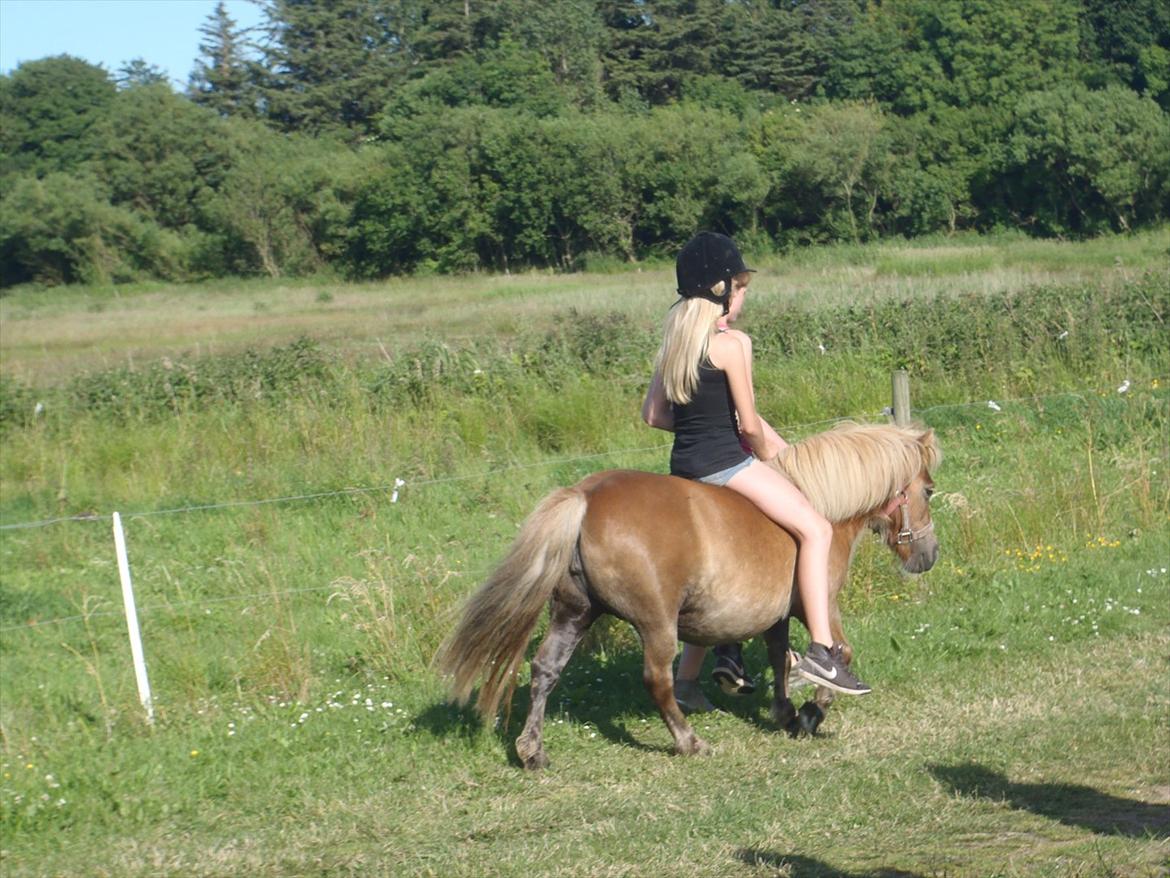 SKRK. Hyggelige tider med Skive Rideklub.  billede 102