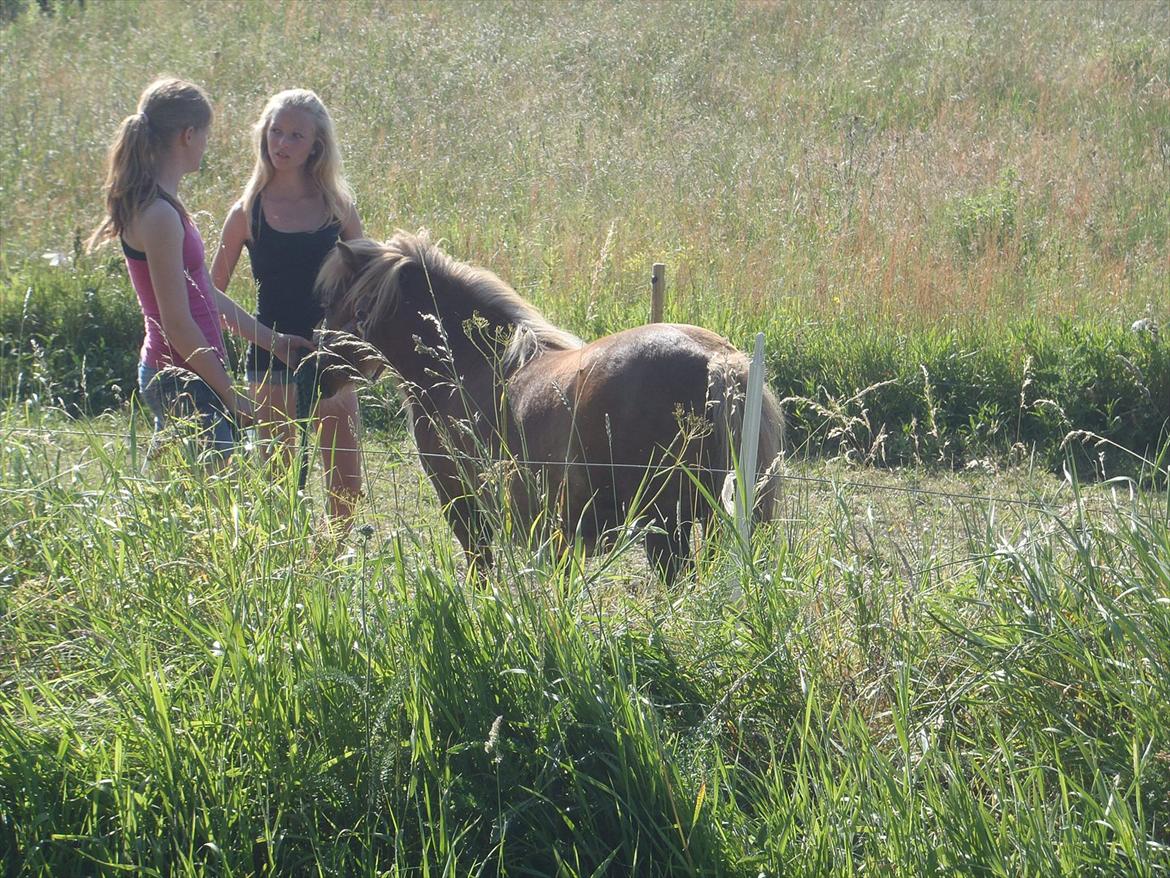 SKRK. Hyggelige tider med Skive Rideklub.  billede 105