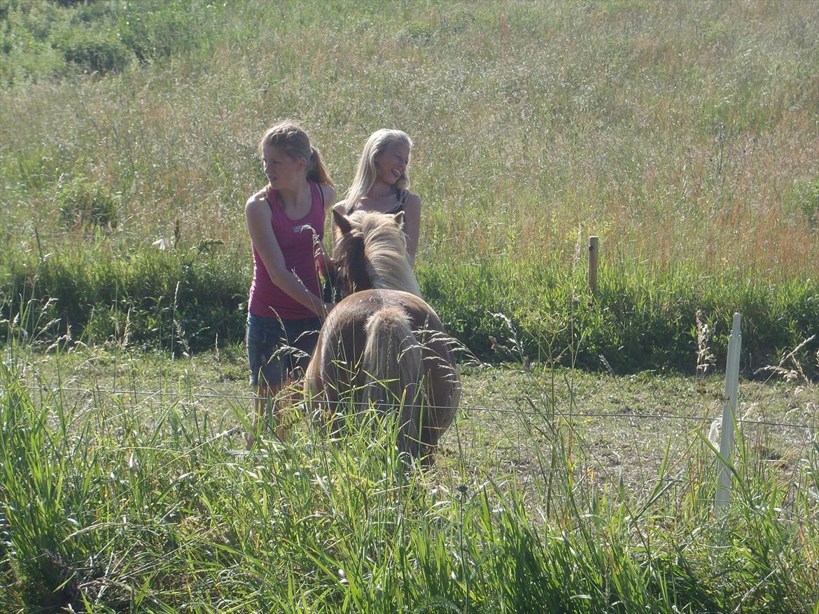 SKRK. Hyggelige tider med Skive Rideklub.  - Rytterlejr 2011 SKRK
 billede 106