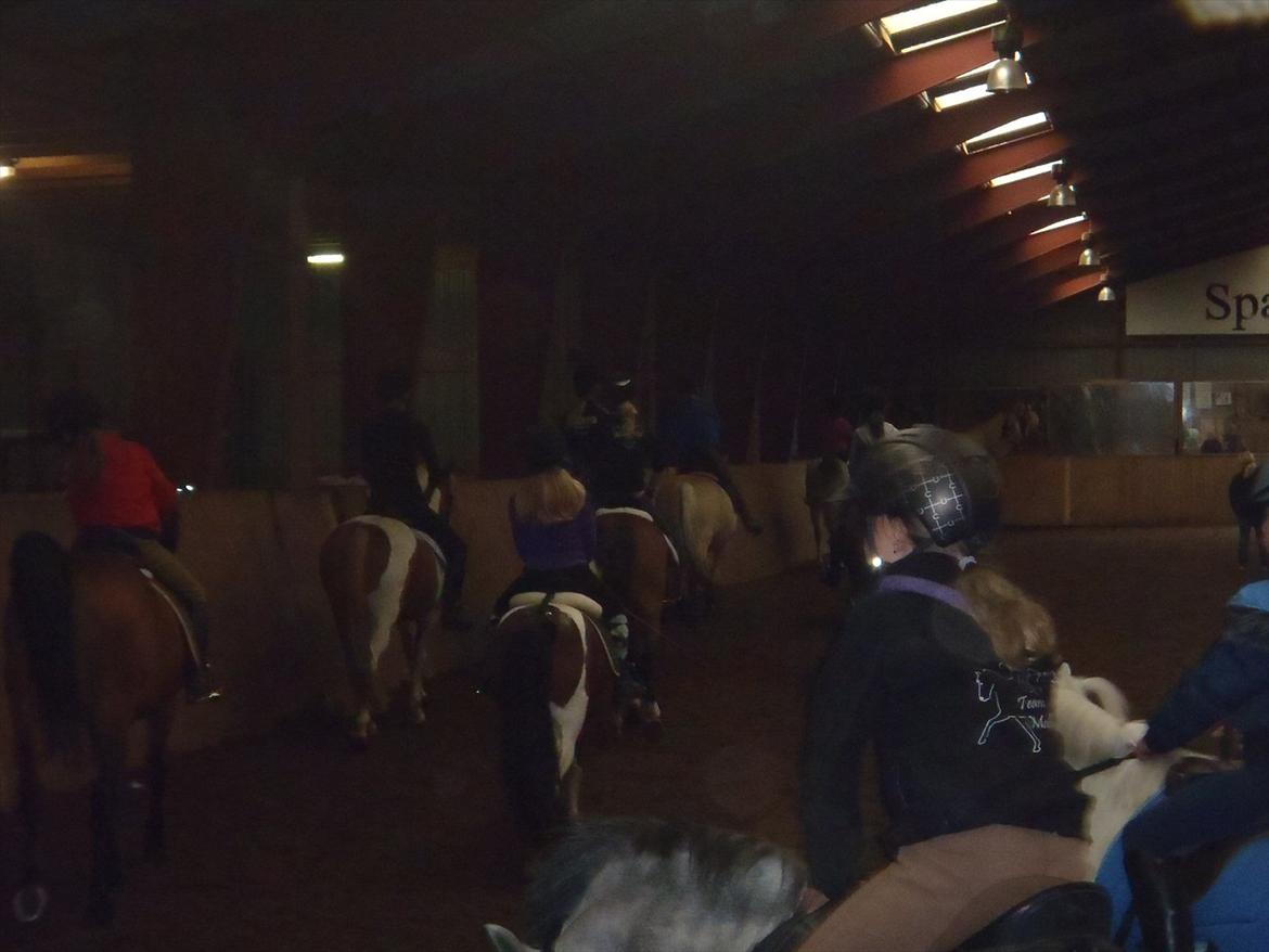 SKRK. Hyggelige tider med Skive Rideklub.  - Rytterlejr 2011 SKRK

Kvadrilie  billede 112