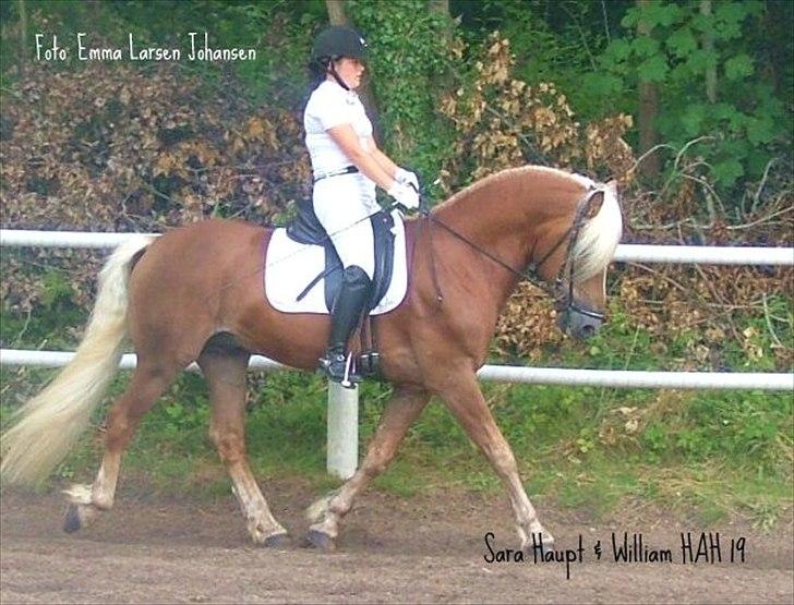 Sara Haupt & William HAH 19 billede 1