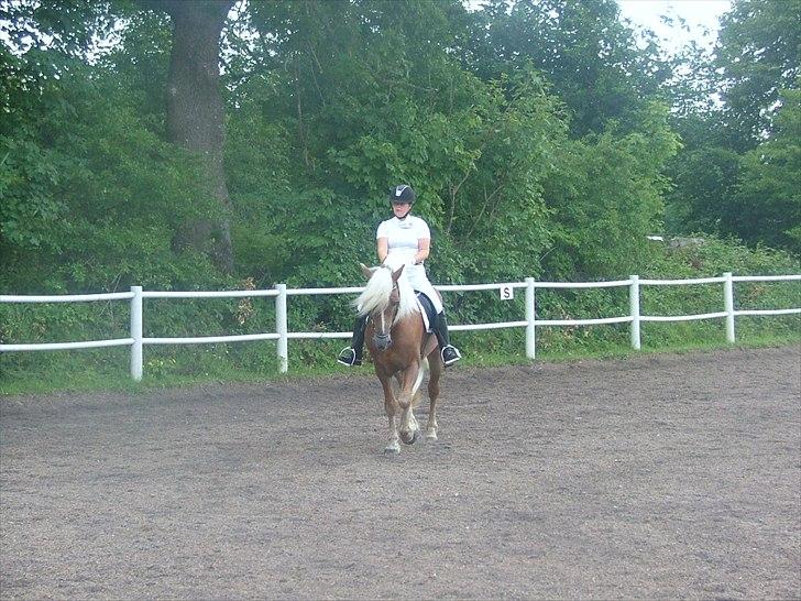 Sara Haupt & William HAH 19 billede 2