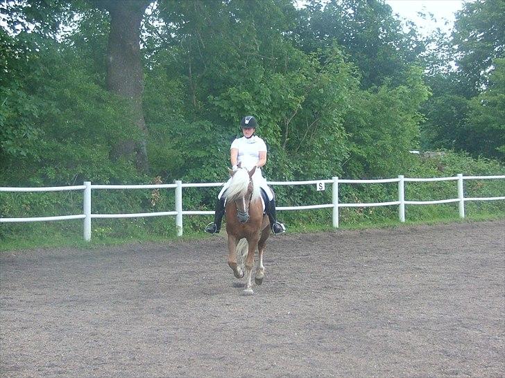 Sara Haupt & William HAH 19 billede 3