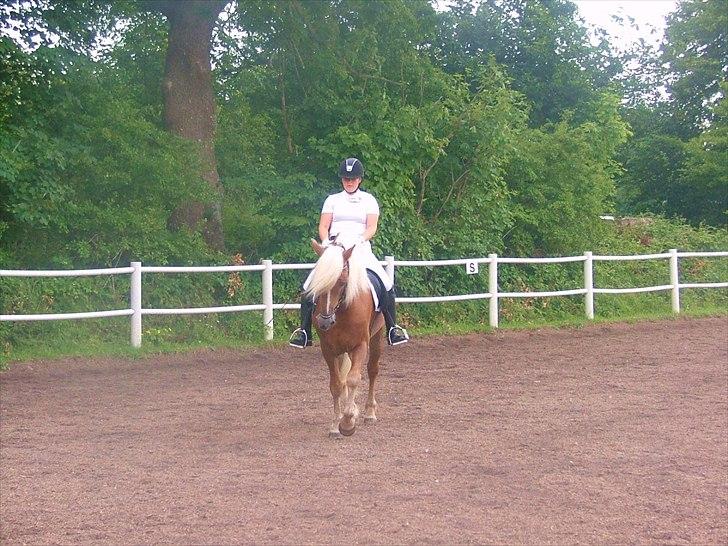 Sara Haupt & William HAH 19 billede 5