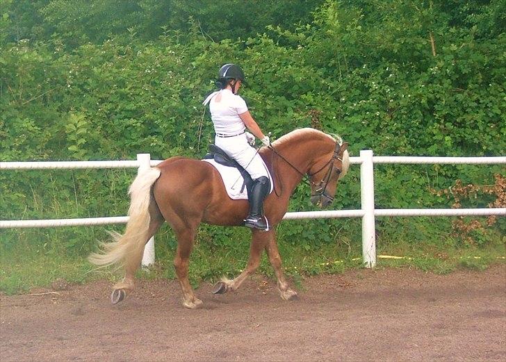 Sara Haupt & William HAH 19 billede 6