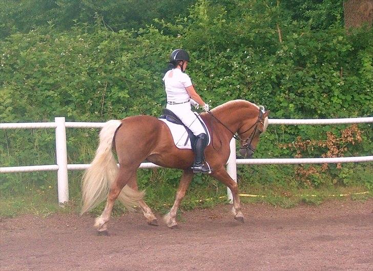 Sara Haupt & William HAH 19 billede 7
