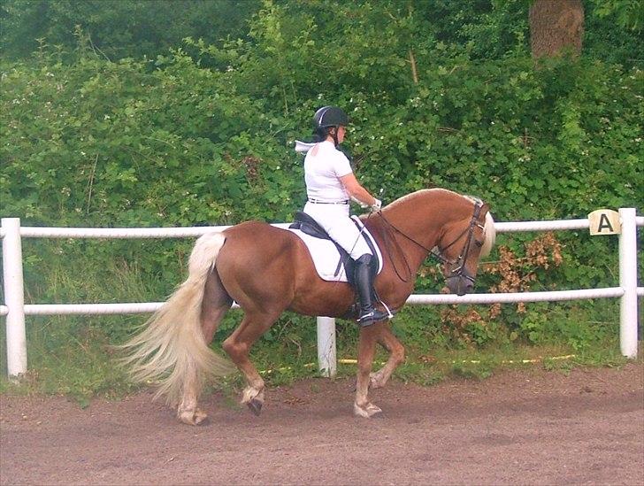 Sara Haupt & William HAH 19 billede 8