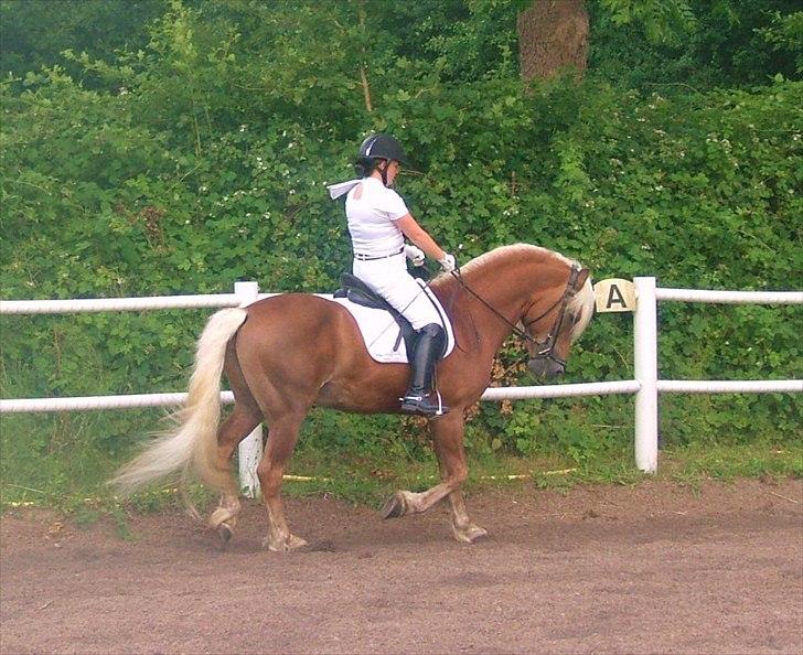 Sara Haupt & William HAH 19 billede 9