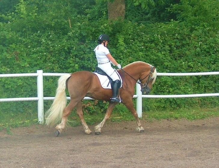 Sara Haupt & William HAH 19 billede 10
