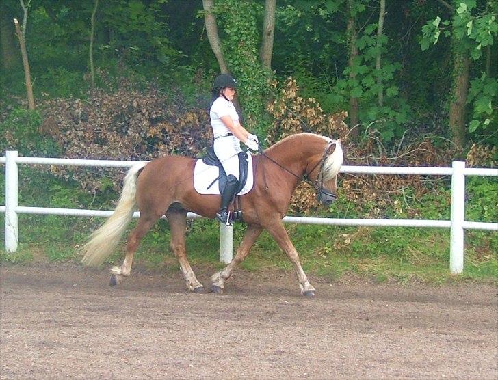Sara Haupt & William HAH 19 billede 12