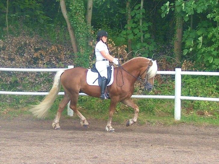 Sara Haupt & William HAH 19 billede 13