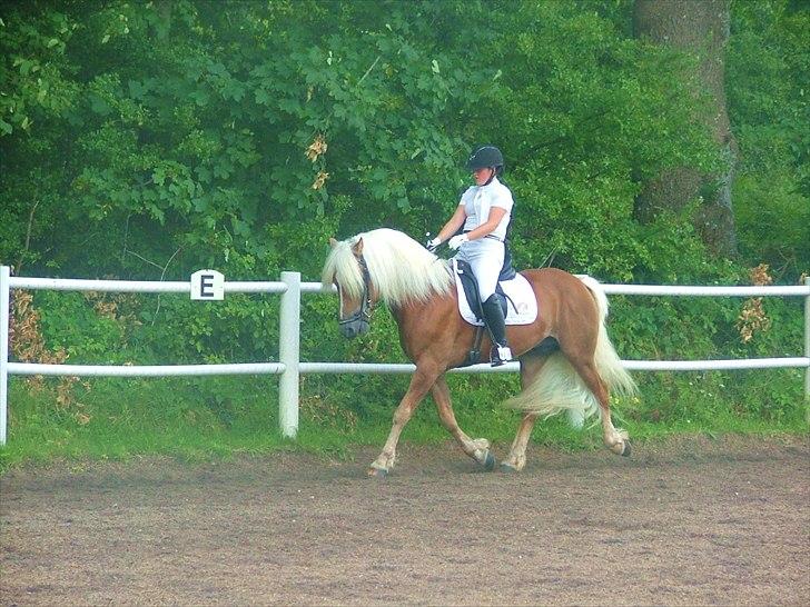 Sara Haupt & William HAH 19 billede 14