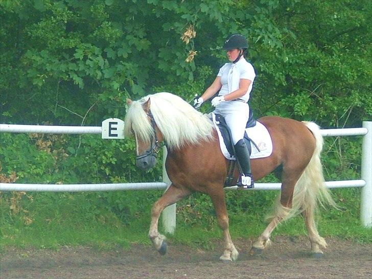 Sara Haupt & William HAH 19 billede 15