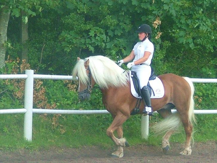 Sara Haupt & William HAH 19 billede 16