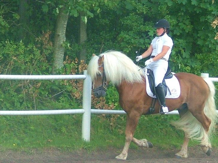 Sara Haupt & William HAH 19 billede 17