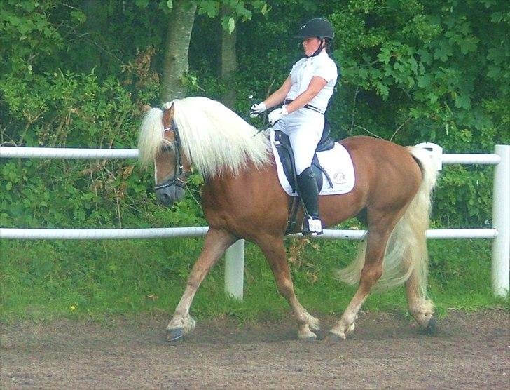 Sara Haupt & William HAH 19 billede 18