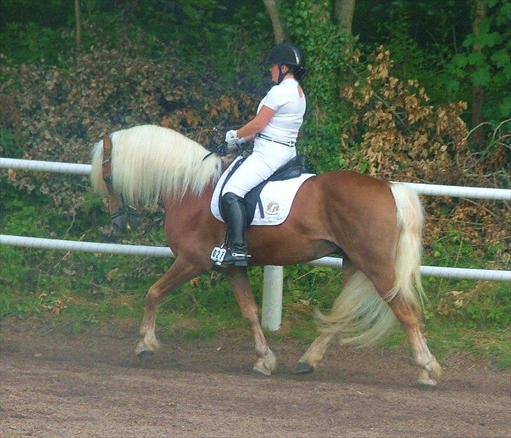 Sara Haupt & William HAH 19 billede 19