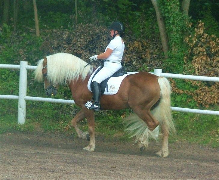 Sara Haupt & William HAH 19 billede 20