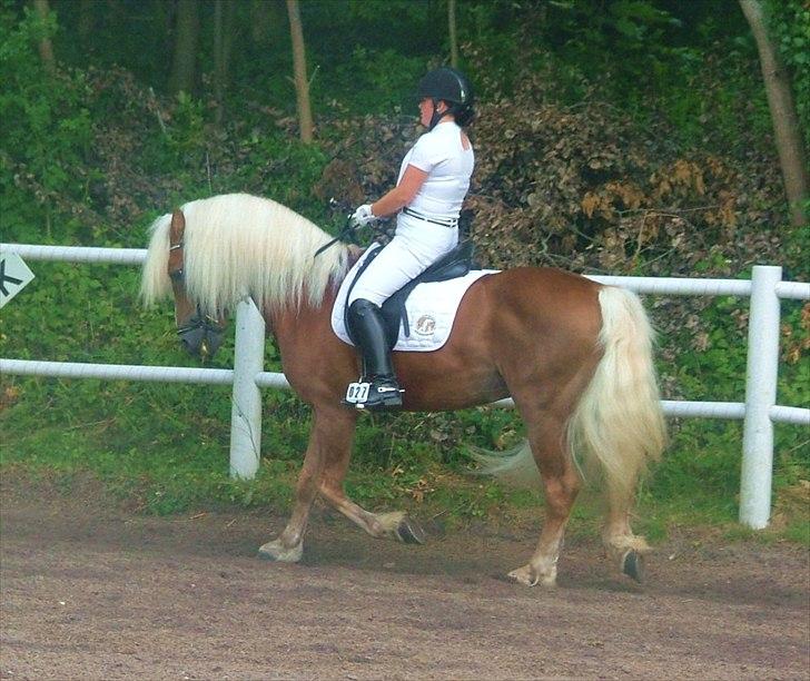 Sara Haupt & William HAH 19 billede 21