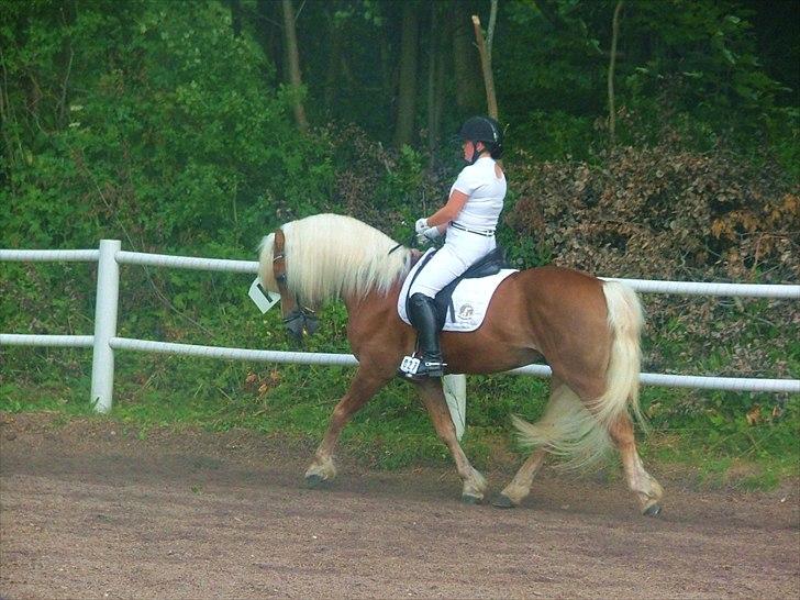 Sara Haupt & William HAH 19 billede 22